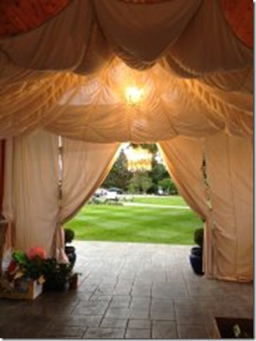 parachuteentranceBrushwedding