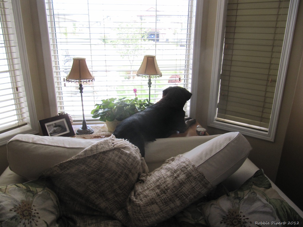 [IMG_0120%255B11%255D.jpg]