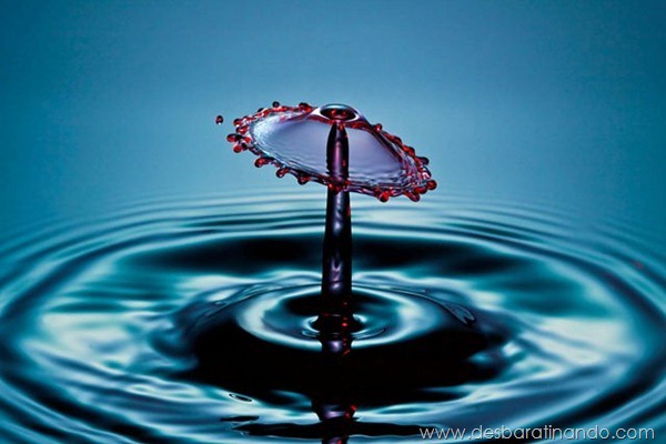 liquid-drop-art-gotas-caindo-foto-velocidade-hora-certa-desbaratinando (65) liquid-drop-art-gotas-caindo-foto-velocidade-hora-certa-desbaratinando (65)