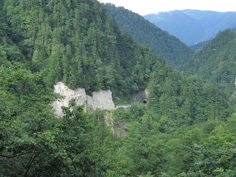 県道451号線