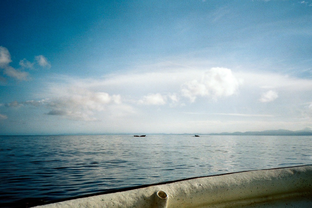 [XA_Superia400_Perlas0182-Edit%255B6%255D.jpg]