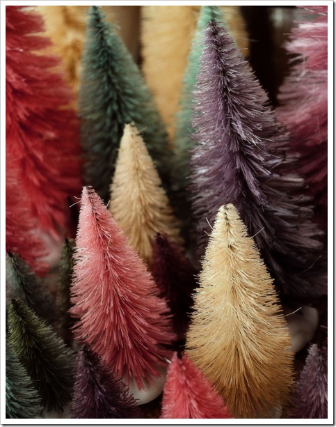 bottle brush trees