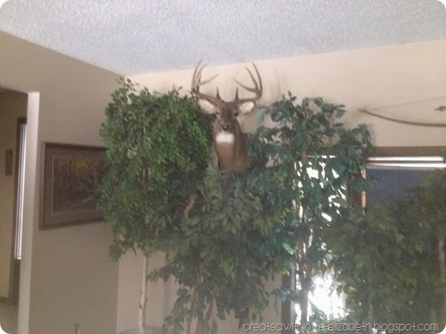 deerhouse deerhouse