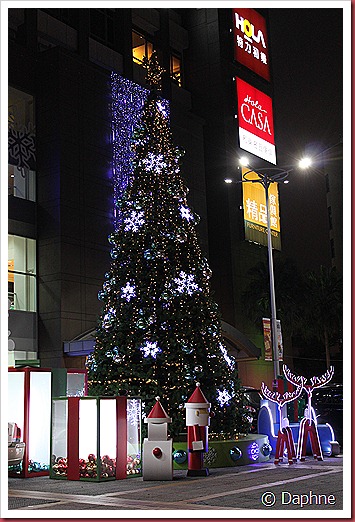 IMG_1497 IMG_1497