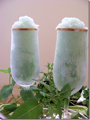 sorbetto alla menta ricetta (10)