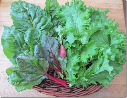 Chard and mustard greens