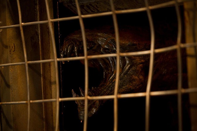 Riddick monster