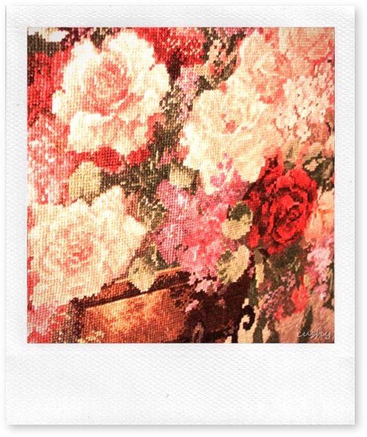 IMG_3988 IMG_3988