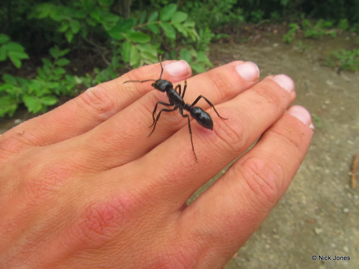 [IMG_6257%255B3%255D.jpg]