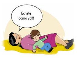 Imagen12