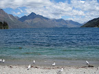 By the lake