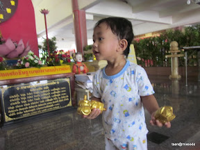 สัปดาห์วันเกิดพ่อพู่กัน