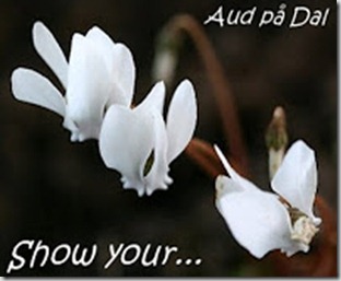 Vis din__3 Vis din__3