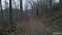 2011-03-17_18-34-38_867.jpg 2011-03-17_18-34-38_867.jpg