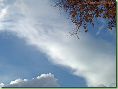 sky101_0011