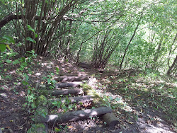 Bílý kříž (Weißes Kreuz) – Weg zum Fluss