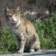 HS10