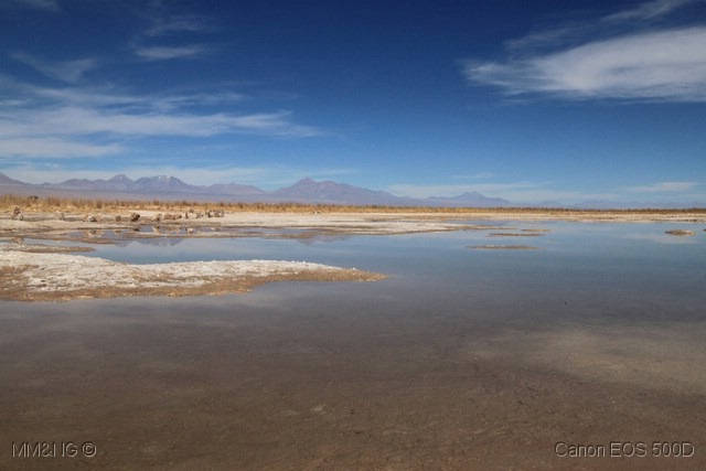 [IMG_9603%255B18%255D.jpg]