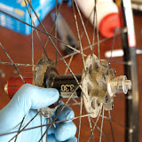 image3.jpg