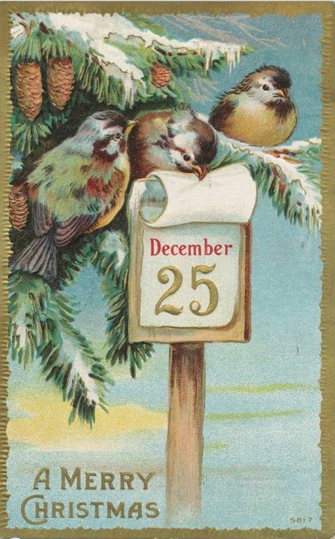 [Dec%252025%255B86%255D.jpg]