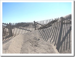 3.22.2012 fence w sand dunes w reflection cape cod
