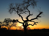 South Africa - 127.JPG
