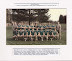 Thumbnail - Shamrock Senior Teams
