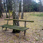 dsc00705.jpg