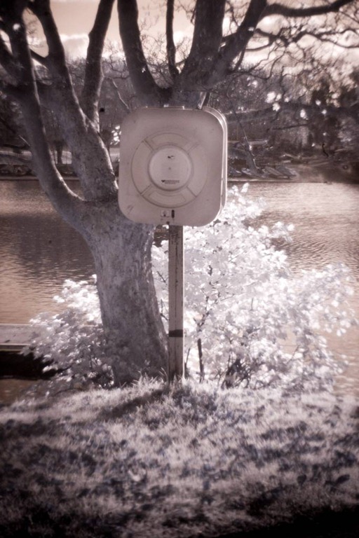 [Infrared-Holga-4%255B3%255D.jpg]