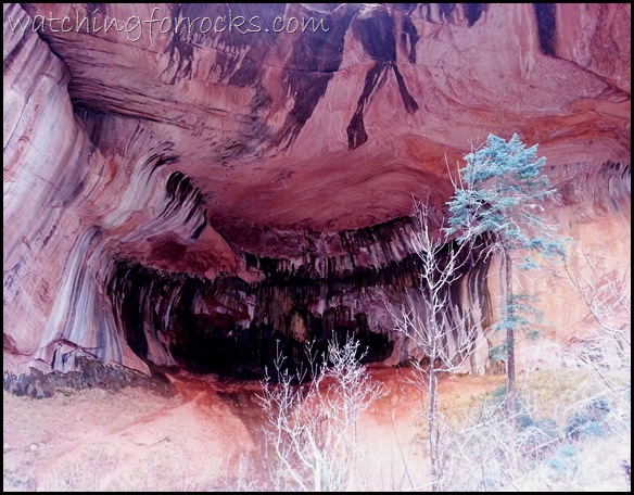 Alcove140041