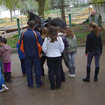 IMGP0268.JPG