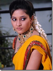 ritu_barmecha_pic IN SAREE