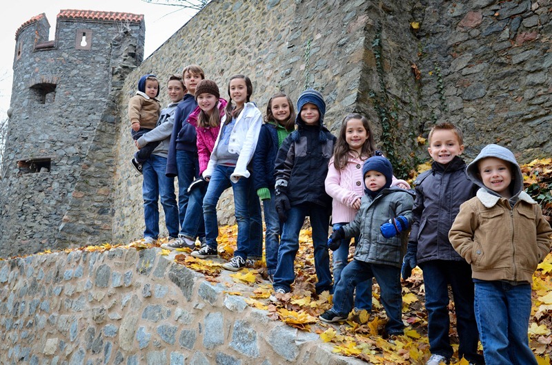 Castle1