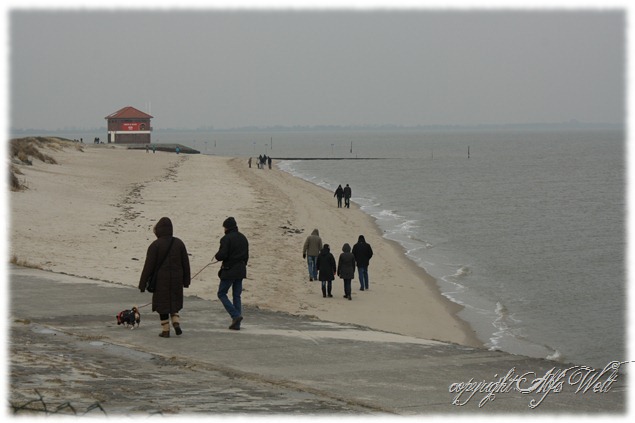 meer4