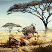 PictureThis-Fullscreen_Portfolio_WordPress_Theme.jpg