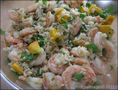 tropical shrimp0617 (1) tropical shrimp0617 (1)