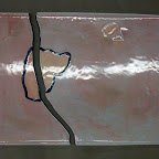 CIMG2544.JPG