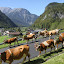 Bauernherbstwochen im Salzburger Land