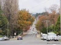 IMG_6040.JPG