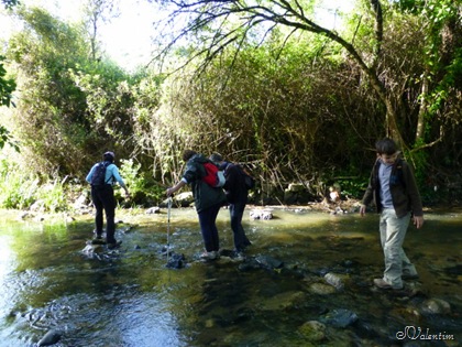 [P1030068%255B3%255D.jpg]