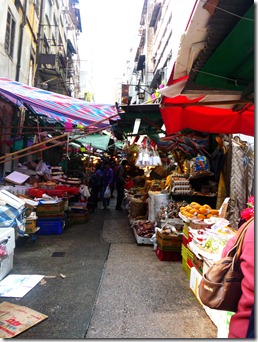 P1050568