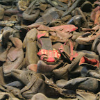 picture 183.jpg picture 183.jpg
