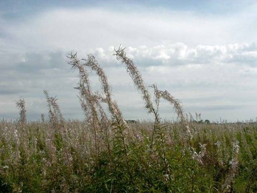 [clip_image005%255B3%255D.jpg]