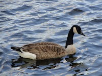 DSC02982.JPG