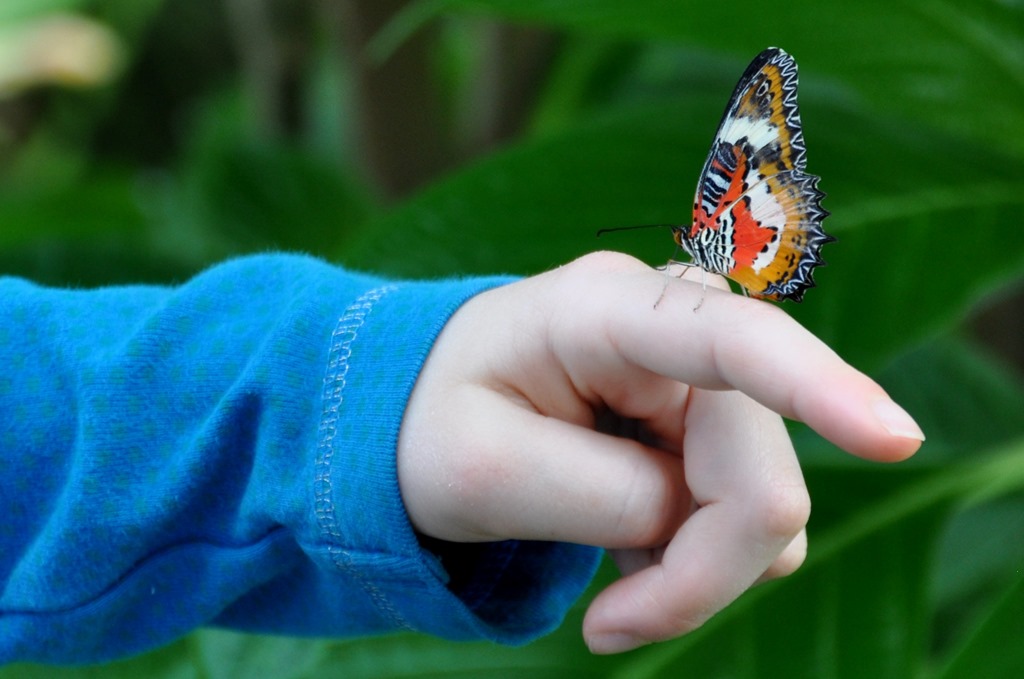 [DSC_0035%255B3%255D.jpg]