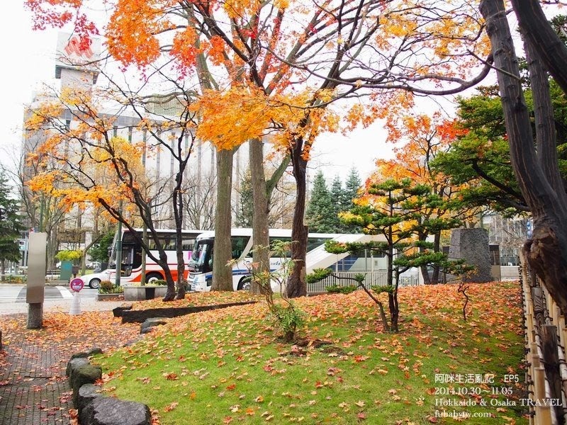 調整大小PB020719 調整大小PB020719