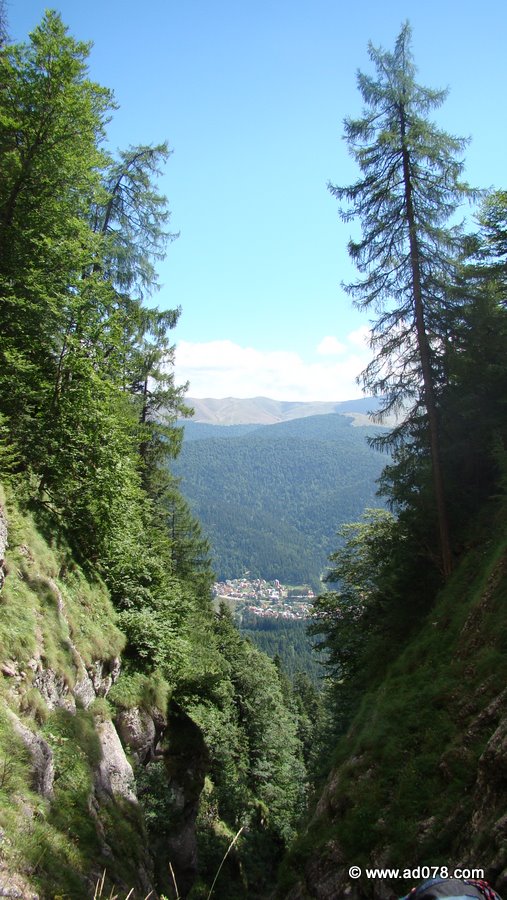 15.JPG