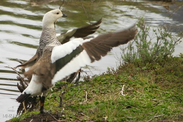 [IMG_7089%255B57%255D.jpg]