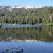 Mammoth 2010