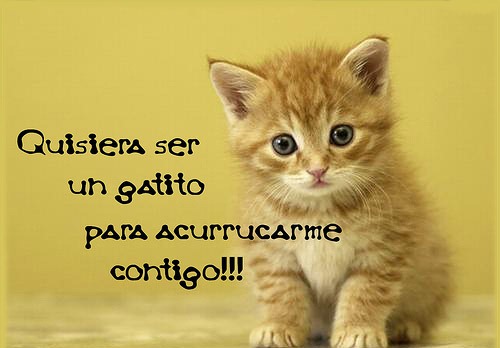[amor%2520amistad%2520%252860%2529%255B2%255D.jpg]